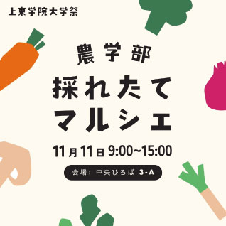 SNS広告代行プラン3