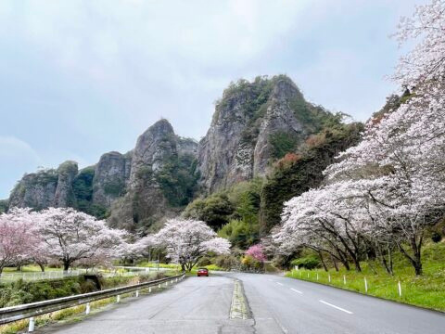 安心院の自然